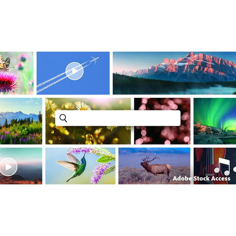 Adobe Photoshop Elements & Premiere Elements 2026 - PC/Mac - Photo