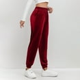 thumbnail image 6 of ClodeEU Women's Velvet Jogger Pants with Stretch Waist and Pockets,Trendy Casual Sweat Pant Wine,Womens Plus L, 6 of 9