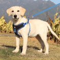 thumbnail image 3 of Happy Date  No Pull Dog Harness with Multifunction Dog Leash,Soft Adjustable No Choke Escape Proof Pet Harness Vest for Medium Dogs or Large Dogs, 3 of 8