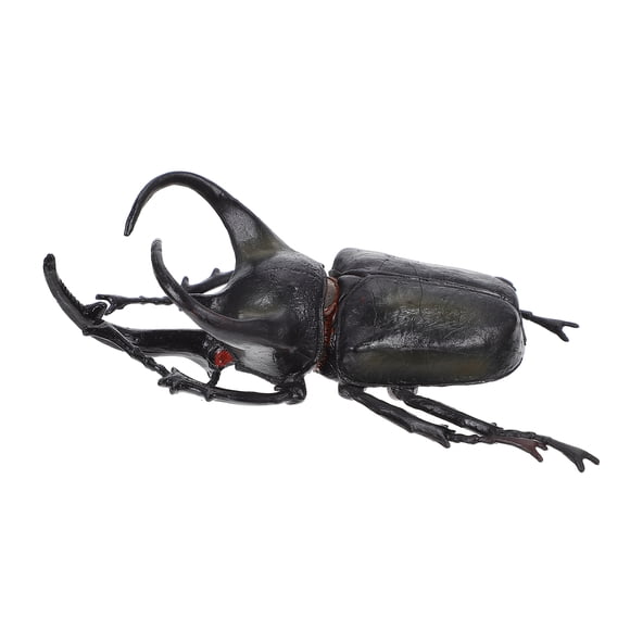 PVC Beetle Model for Kids Black Vivid Realistic Educational Toy Lightweight Durable Easy to Grasp