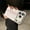 White, variant on Magnetic for iPhone 15 Pro Case Cute Stripes Pattern Phone Case, Shockproof Slim TPU and Hard PC Protective Camera Lens Protection Wireless Charging Phone Cover Designed for Women Girls, White