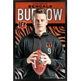 thumbnail image 1 of NFL Bengals de Cincinnati - Joe Burrow pose 20, 1 of 4