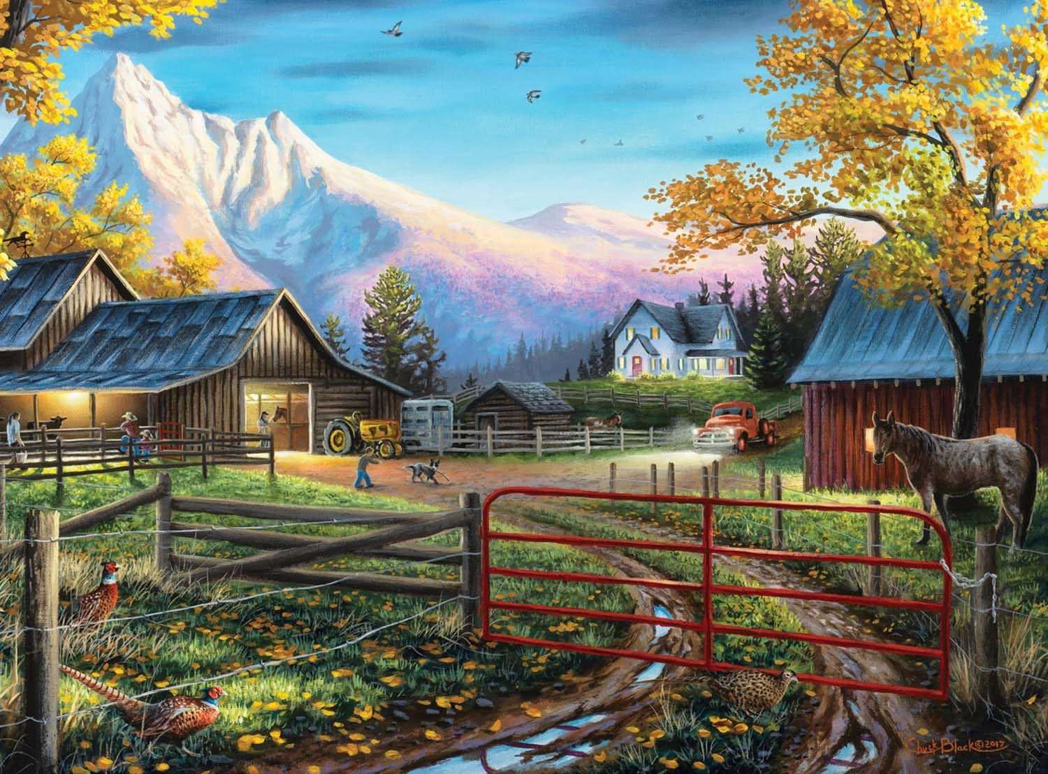 1000 COUNTRY ASRT - FRENCH