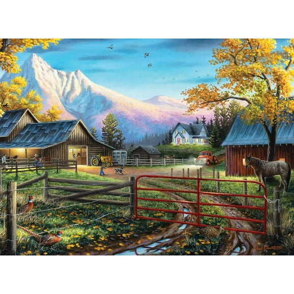 1000 COUNTRY ASRT - FRENCH