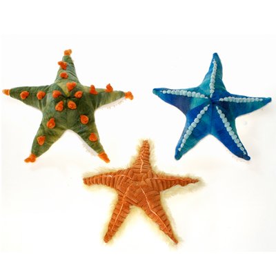 starfish soft toy