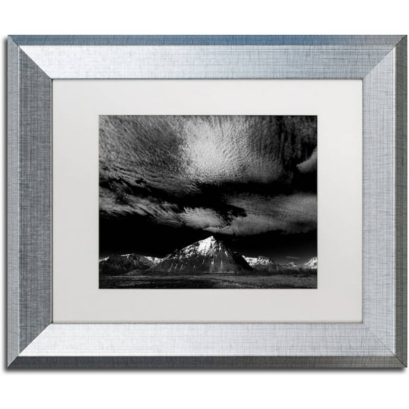 Trademark Fine Art "Space Invaders" Canvas Art by Philippe Sainte-Laudy White Matte, Silver Frame