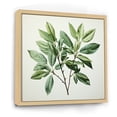 thumbnail image 2 of Designart "Serenity In Fresh Mint Minimalism Leaves I" Leaves Floater Framed Wall Art Prints, 2 of 5