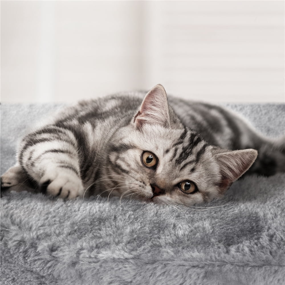 Yaheetech 53.6'' H Multilevel Cat Tree with Ladder, Condo, and Basket, Light Gray