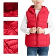 thumbnail image 3 of Girls Quilted Puffer Vest Jacket Full Zip Up Sleeveless Hooded Coat Casual Solid Color Winter Warm Outerwear with Pocket 3-14 Years, 3 of 5