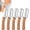 5 pc, variant on Multifunctional Vegetable Peeler with Wooden Handle and Bottle Opener, 2-in-1 Stainless Steel Blade, Contour-Flow for Kitchen Prep, Camping, Apple Potato Pumpkin Papaya Peeling
