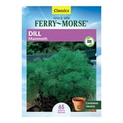 Ferry-Morse 675MG Dill Mammoth Herb Plant Seeds Full Sun