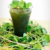 500 Green Gotu Kola Seeds - Hat Rau Ma - Big Leaf Seed Centella Asiatica Vegetable Indian Pennywort| Non-GMO | Organic | Heirloom [Mai's Family]