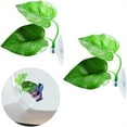 thumbnail image 4 of 50PCS Betta Leaf Hammock Fish Rest Leaf Fish Tank Decorations Plant Aquarium Betta Fish Decoration Accessories, Suitable For Large And Small Fish Tanks, Aquariums, 4 of 10