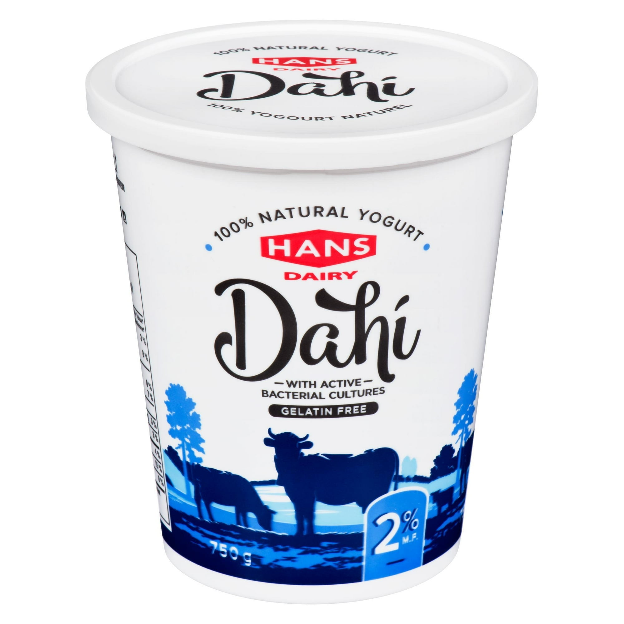 Yogourt nature Dahi de Hans Dairy à 2 % M.G.