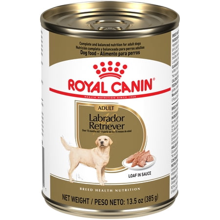 (Case of 12) Royal Canin Labrador Retriever Loaf in Sauce Wet Dog Food, 13.5 oz