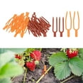 thumbnail image 1 of Uxcell 1-Conjunto de Pines de Jardinería de Plástico, Pinzas para Fijar Plantas de Flores y Vides de Sandía [Rojo, Naranja], 1 of 1