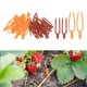 thumbnail image 1 of Uxcell 1-Conjunto de Pines de Jardinería de Plástico, Pinzas para Fijar Plantas de Flores y Vides de Sandía [Rojo, Naranja], 1 of 1