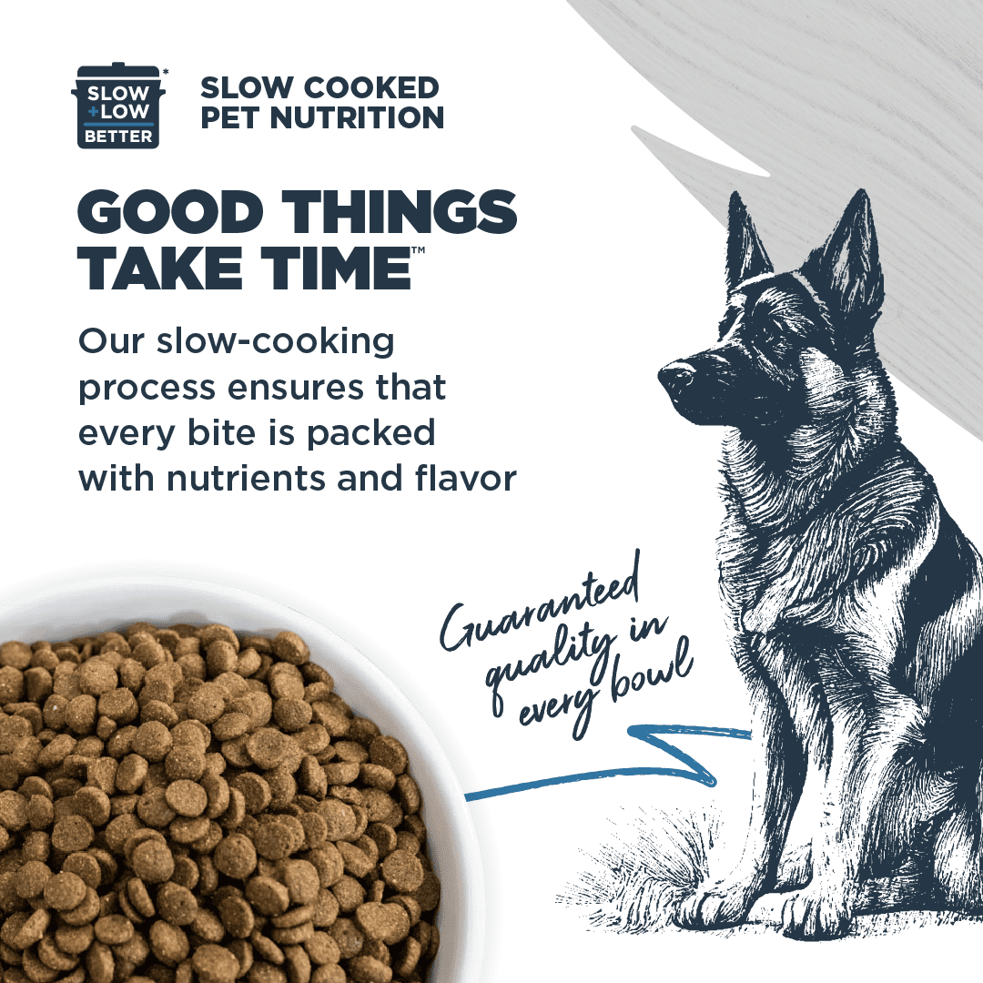 Blackwood Dry Dog Food for Sensitive Skin & Stomach, Catfish Meal with Ancient Grains, 24 lb