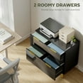 thumbnail image 4 of HOMCOM 2 Drawer File Cabinet Lateral Filing Cabinet High Gloss Black, 4 of 10