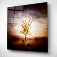 thumbnail image 2 of Epic Art 'Finding' by Mario Sanchez Nevado, Acrylic Glass Wall Art, 12"x12", 2 of 8