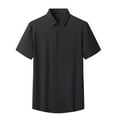 thumbnail image 2 of Teissuly Summer Ice Silk Shirt Workwear Thin Ice Feel Double Size Loose Drop Feel Breathable And Wicking Short Sleeves, 2 of 9