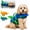 Blue-Green, variant on Lethargic Dog Life Jacket with Chin Float Support & Rescue Handle, Adjustable Pet Swimming Vest for Dogs Pool Beach Water Activities