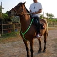 thumbnail image 2 of Suministros ecuestres LED, arnés de caballo, correa para el pecho de caballo, hermoso y llamativo arnés de pecho de caballo luminoso, 2 of 9