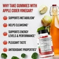 thumbnail image 4 of Healblend Apple Cider Vinegar Gummies - ACV 1000mg Advanced Weight Loss, Metabolism Booster, Antioxidant Support Supplement with Vitamin B12, for Women & Men - 60 Gummy, 4 of 13