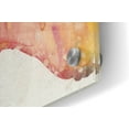 thumbnail image 2 of Epic Art 'Blooming Hibiscus' by Tim O'Toole, Acrylic Glass Wall Art, 36"x24", 2 of 5