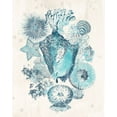 thumbnail image 2 of Vess, June Erica 12x14 White Modern Wood Framed Museum Art Print Titled - Coastal Melange III, 2 of 4