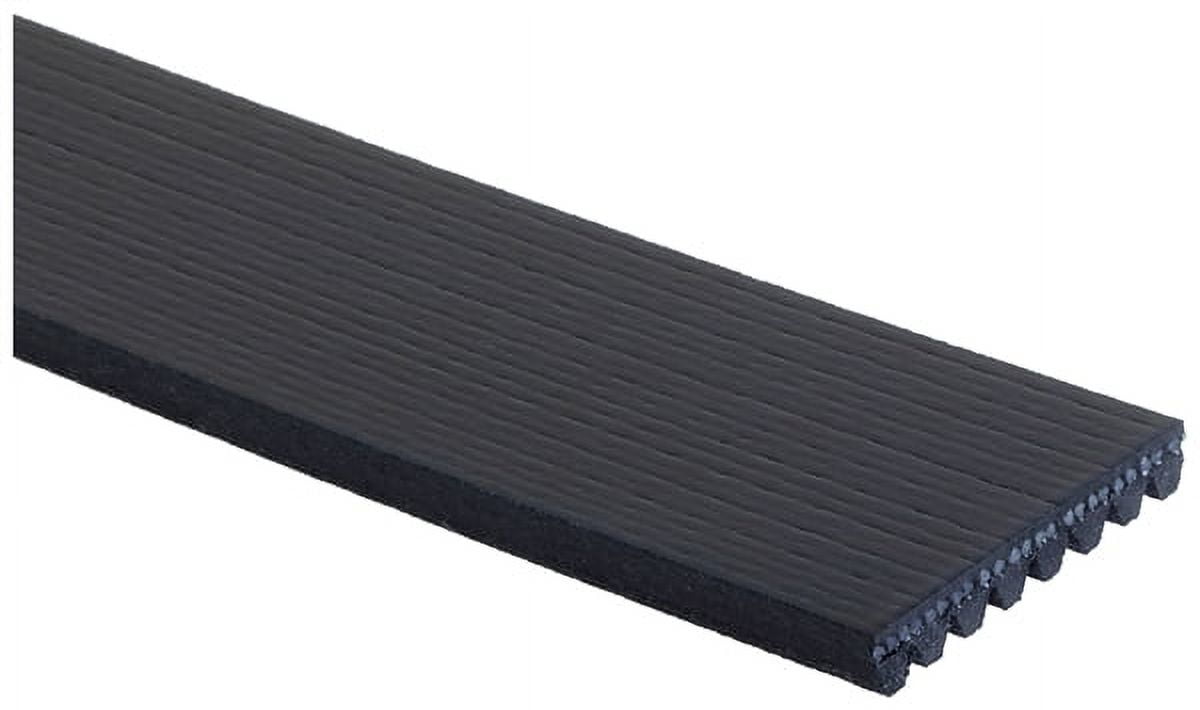 Serpentine Belt