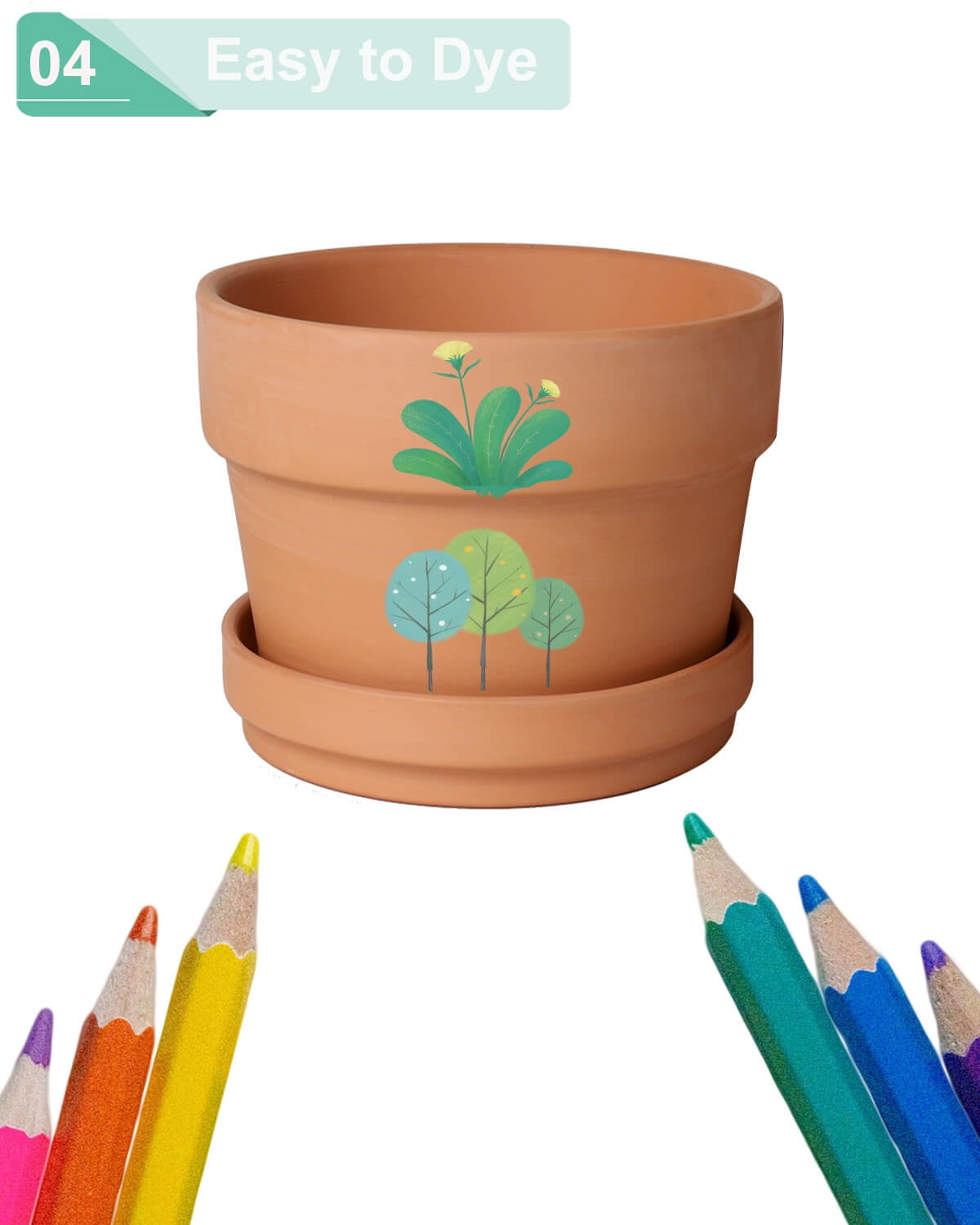 3.7 Inch Terracotta Shallow Succulent Pot - 6 Pack Terra Cotta Clay Pots with Saucer, Cacuts Terra-Cotta Indoor and Outdoor Planters with Drainage Hole