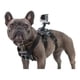 thumbnail image 1 of Arnes Para Perro Para Cámara Go Pro, 1 of 8