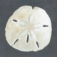 thumbnail image 2 of Meagher, Megan 26x26 White Modern Wood Framed Museum Art Print Titled - Shell on Slate II, 2 of 4