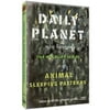 Daily Planet: Animal Sleeping Patterns
