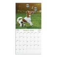 thumbnail image 4 of DaySpring Monthly Calendar (12"x12") It's a Ruff Life 12 Month Jan 2026-Dec 2026, 4 of 5