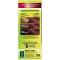 thumbnail image 2 of Garnier Hair Color Nutrisse Coloring Creme by Garnier, Hair Color - Sangria 56, 2 of 3