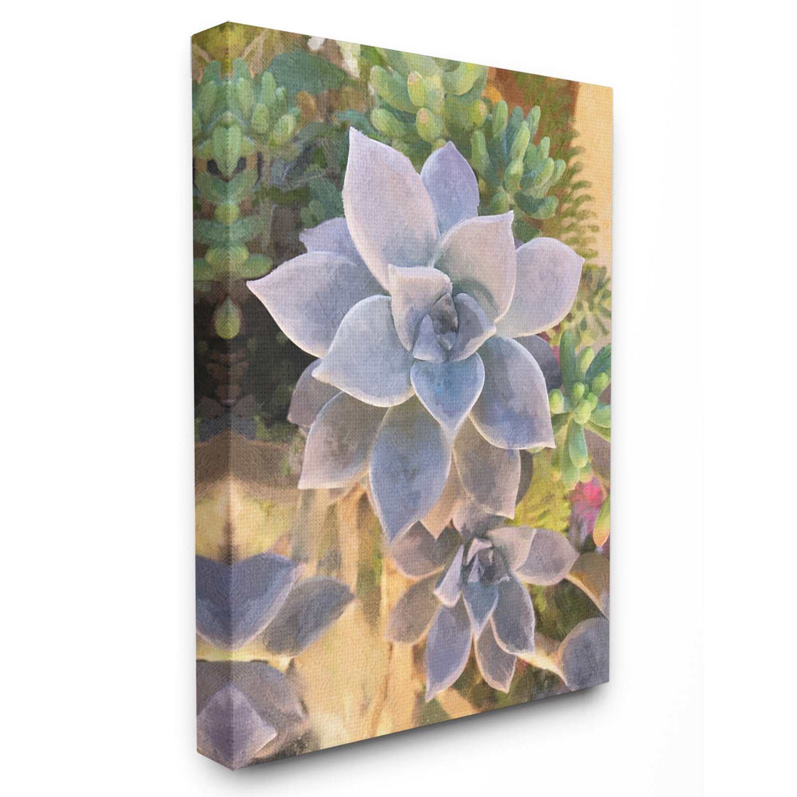 The Stupell Home Decor Collection Succulent Plant Desert Party Wall Art