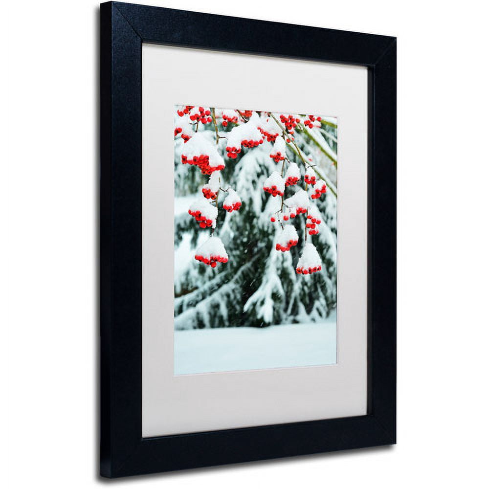 Trademark Fine Art "Winter Berries and Pine" Canvas Art by Kurt Shaffer White Matte, Black Frame