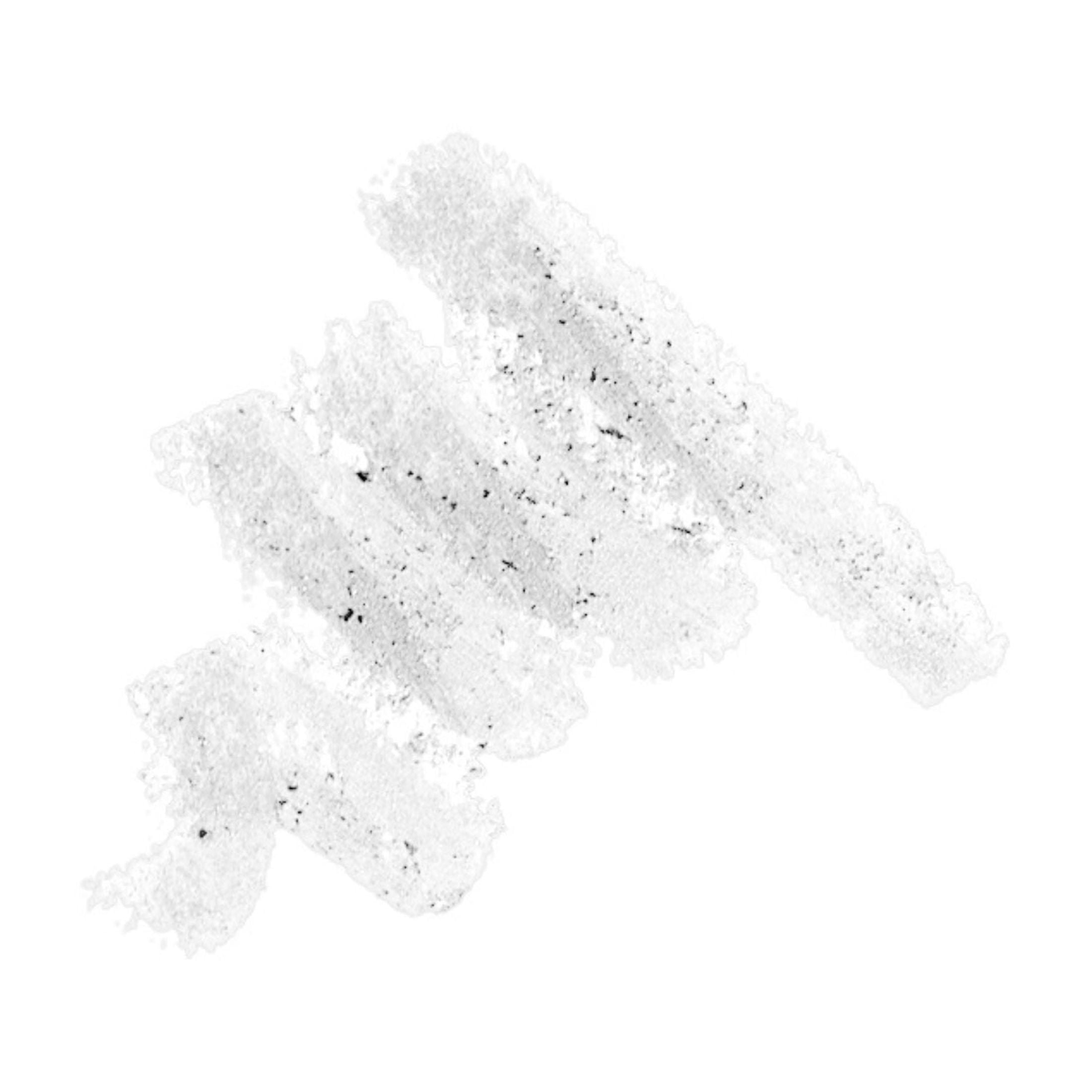 L.A. COLORS Automatic Eyeliner Pencil, White, 0.009 fl oz