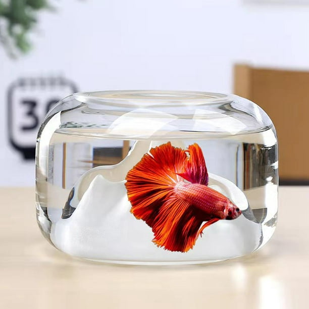 Clear Fish Bowl Aquarium Tank Small Betta for Bedroom Decor