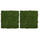 thumbnail image 1 of CRAFTHROU 2Ud Musgo Artificial Flexible Para Manualidades Y De Macetas En Color Verde, 1 of 7