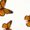 White-1, variant on UNISHE Women's Sunflower with Monarch Butterflies Graphic Short Sleeve T-Shirt Casual Cotton Crewneck Top