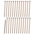 thumbnail image 4 of 15/20/25Pcs 4Inch Copper Nails For Killing Trees Stump Root Tree Killer Nails Stump Roots Removal Long Nail Spikes Hardware Tree 25Pcs, 4 of 9