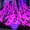 Pink, variant on Giant outdoor Halloween spider web decoration, including one blacklight and ten ground stakes; made from highly elastic mesh fabric that allows for flexible, customizable stretching—perfect for decor
