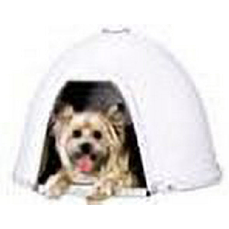 Dogloos 2025