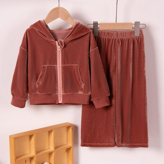 SGFCWSX Girls Fall Outfit Fleece Hoodie Athletic Sets 2 Piece Wide Leg Sweatpants and Sweatshirts Set Brown Size 2 Years