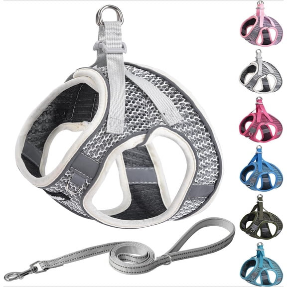 Dog Harness and Leash Set for Walking - Adjustable Dog Harness with Padded Vest for All Weather, Reflective Adjustable Pet Harness, Easy to Put on Small Dogs