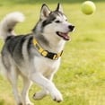 thumbnail image 3 of High Visibility Reflective Nylon Pet Collar, Adjustable Night Safety Neckwear for Dogs Cats Evening Walking Training, 3 of 3