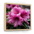 thumbnail image 2 of Designart "Beauty of Rhododendrons in Purple" Floral Framed Wall Art - Purple Rhododendron Living Room Framed Canvas Art, 2 of 6